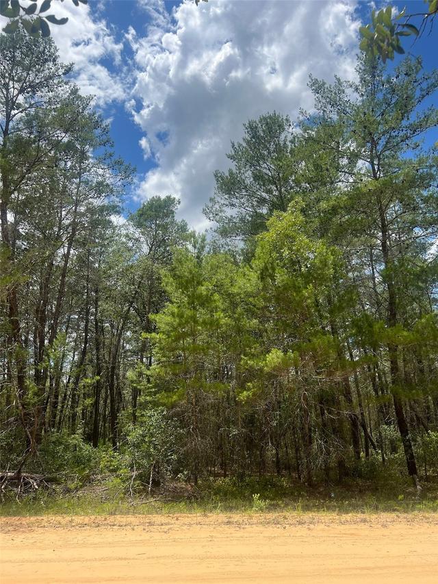 Neilson Ave, Interlachen, FL 32148