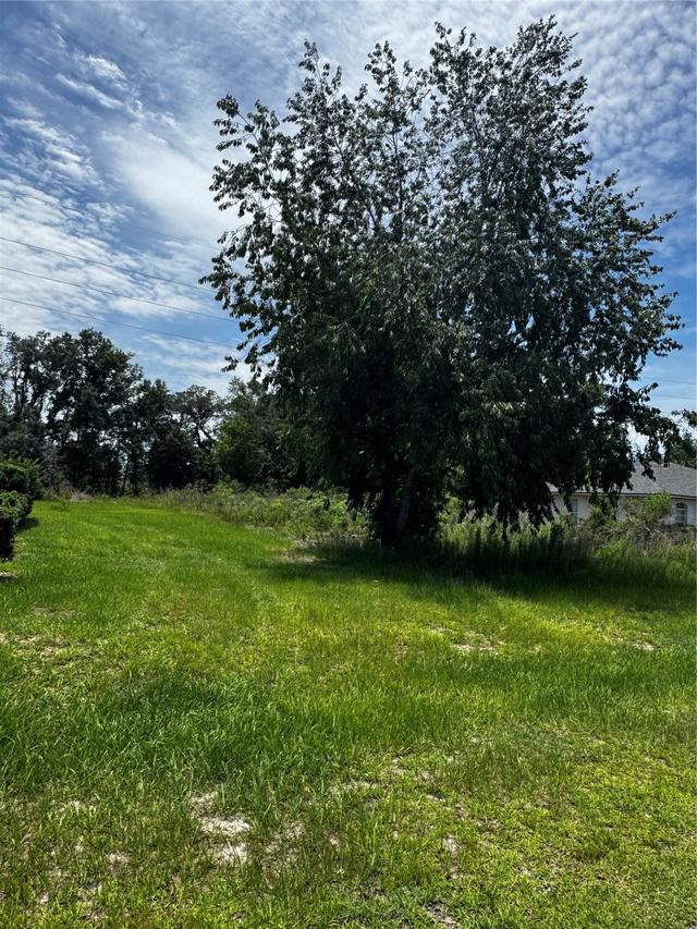 tbd SW 46th Ct., Ocala, FL 34473