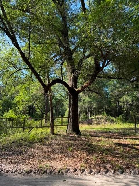 9587 SW 151st Pl., Dunnellon, FL 34432