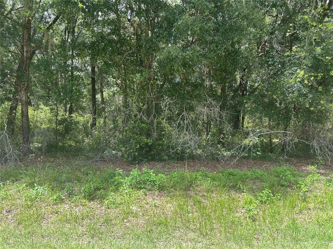 SW 111 Ln., Dunnellon, FL 34432