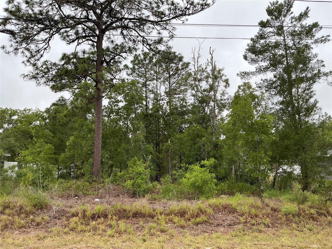 Fisher Lane Ter., Ocklawaha, FL 32179