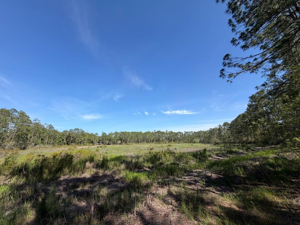 TBD NE 114 Ave Rd., Fort Mc Coy, FL 32134
