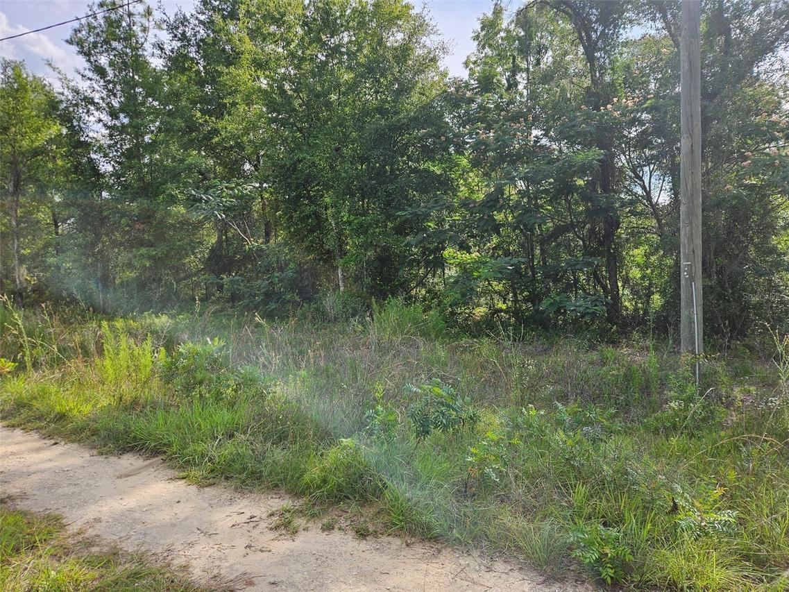 tbd NE 153rd Ave., Williston, FL 32696
