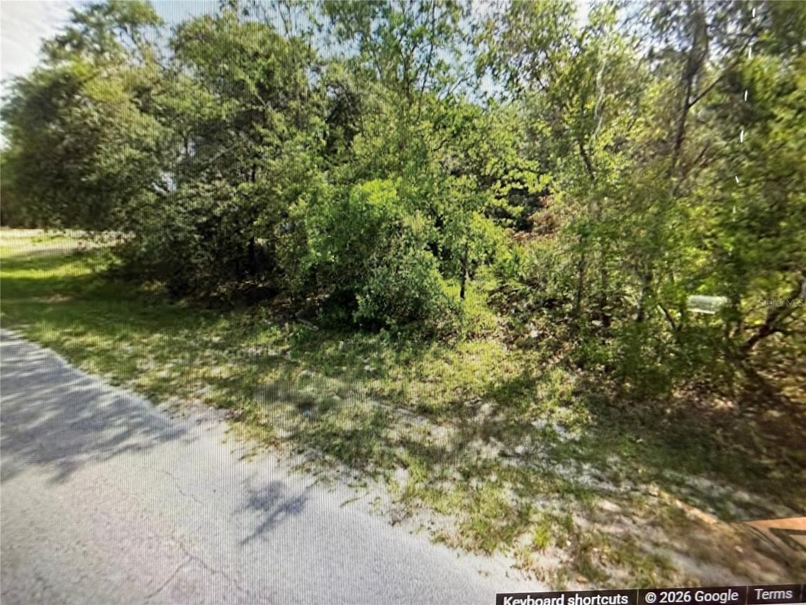TBD SW 79th Terrace Rd., Ocala, FL 34473