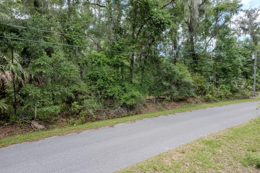 Lot 6 SW 186 Cir., Dunnellon, FL 34432