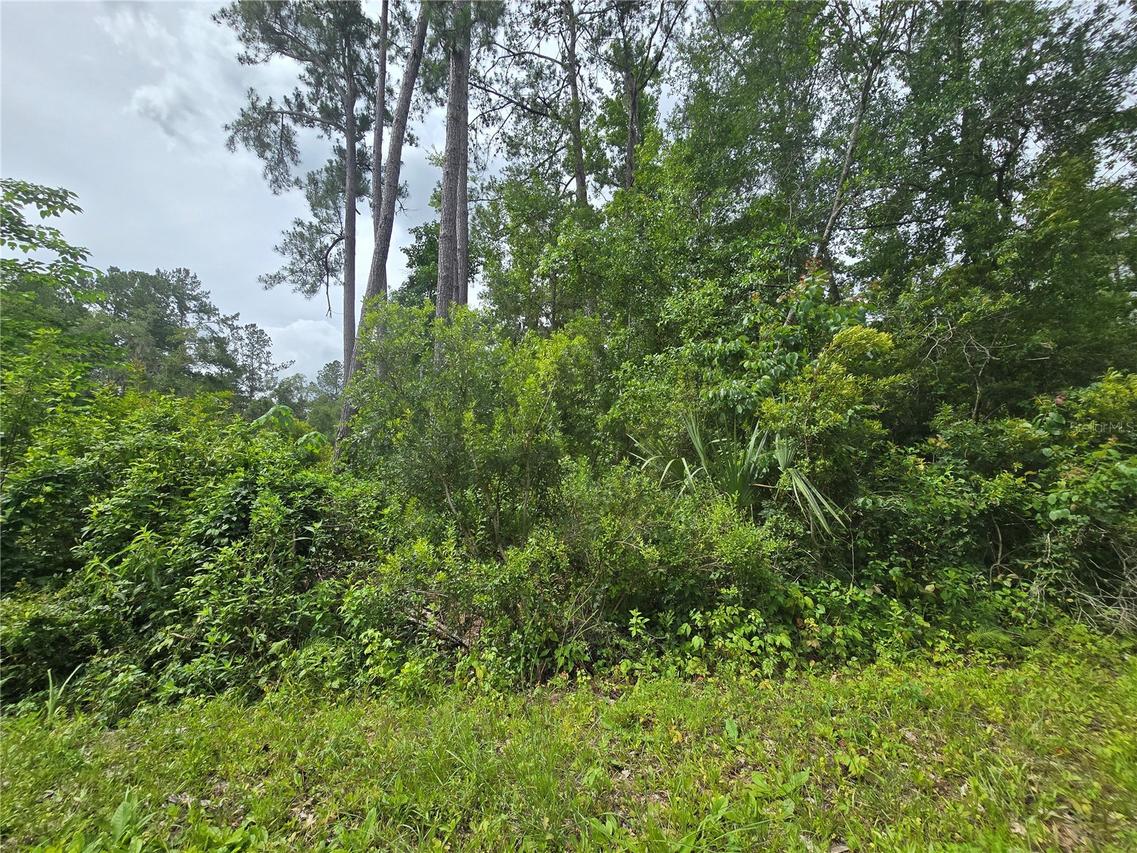 320 Sequoia Dr., Ocklawaha, FL 32179