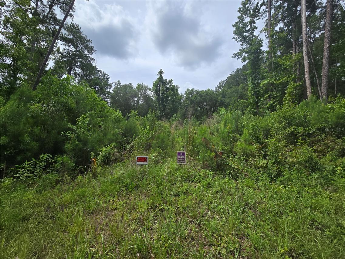316 Sequoia Dr., Ocklawaha, FL 32179
