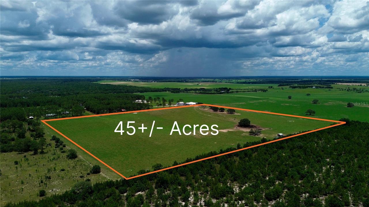 00 SE 54th St., Morriston, FL 32668