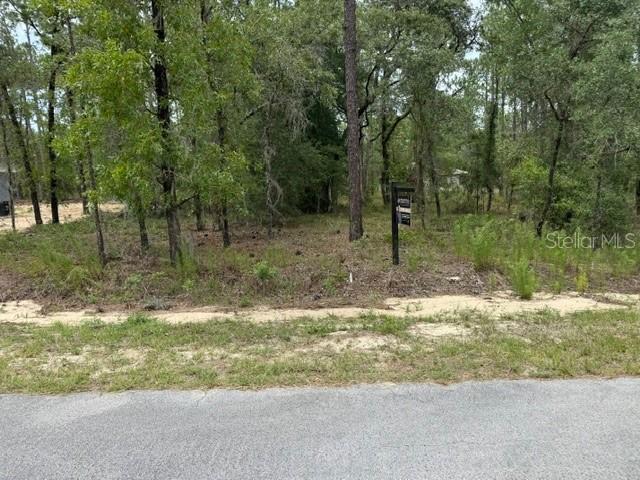[Address Hidden by Seller], Dunnellon, FL 34431