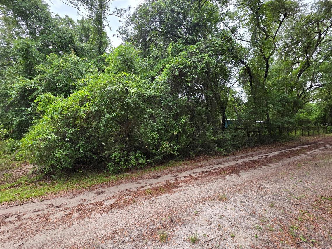 000 NE 138th Ter., Fort Mc Coy, FL 32134