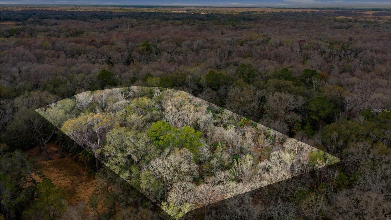 598 S 598 S Chambers Way Way, Inverness, FL 34450