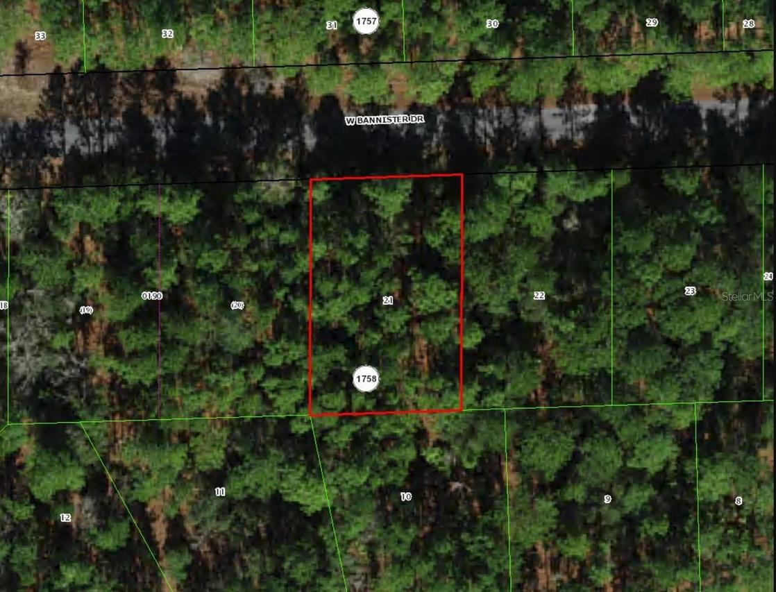 910 W Bannister Dr., Citrus Springs, FL 34434