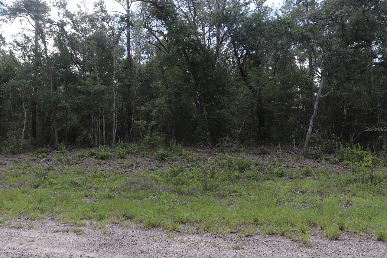 653 Vercelli Ln., Dunnellon, FL 34434
