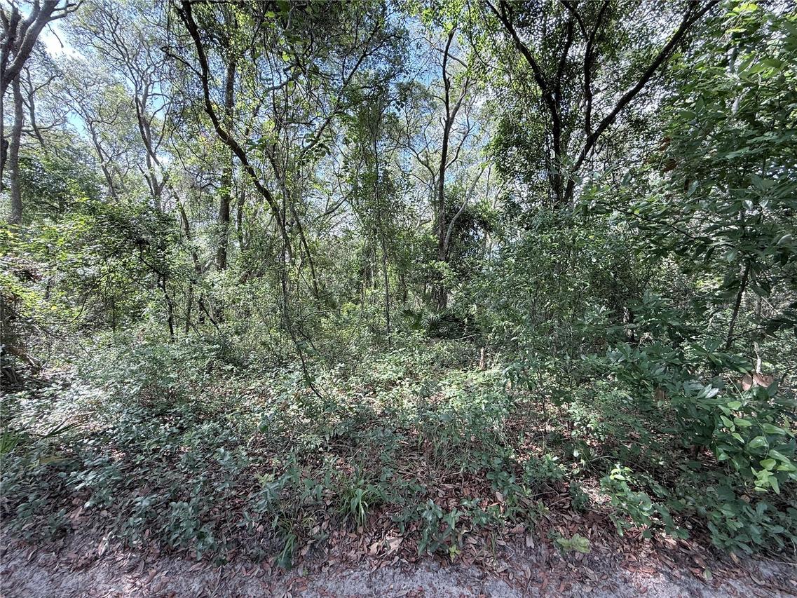 TBD SW 150th St., Dunnellon, FL 34432
