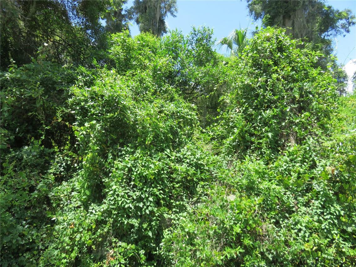 00 SE 142 Pl., Summerfield, FL 34491