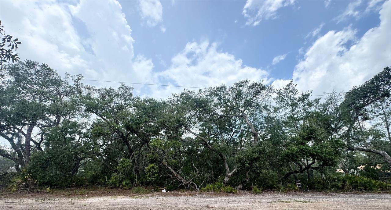 TBD SW 71st Rd., Ocala, FL 34473
