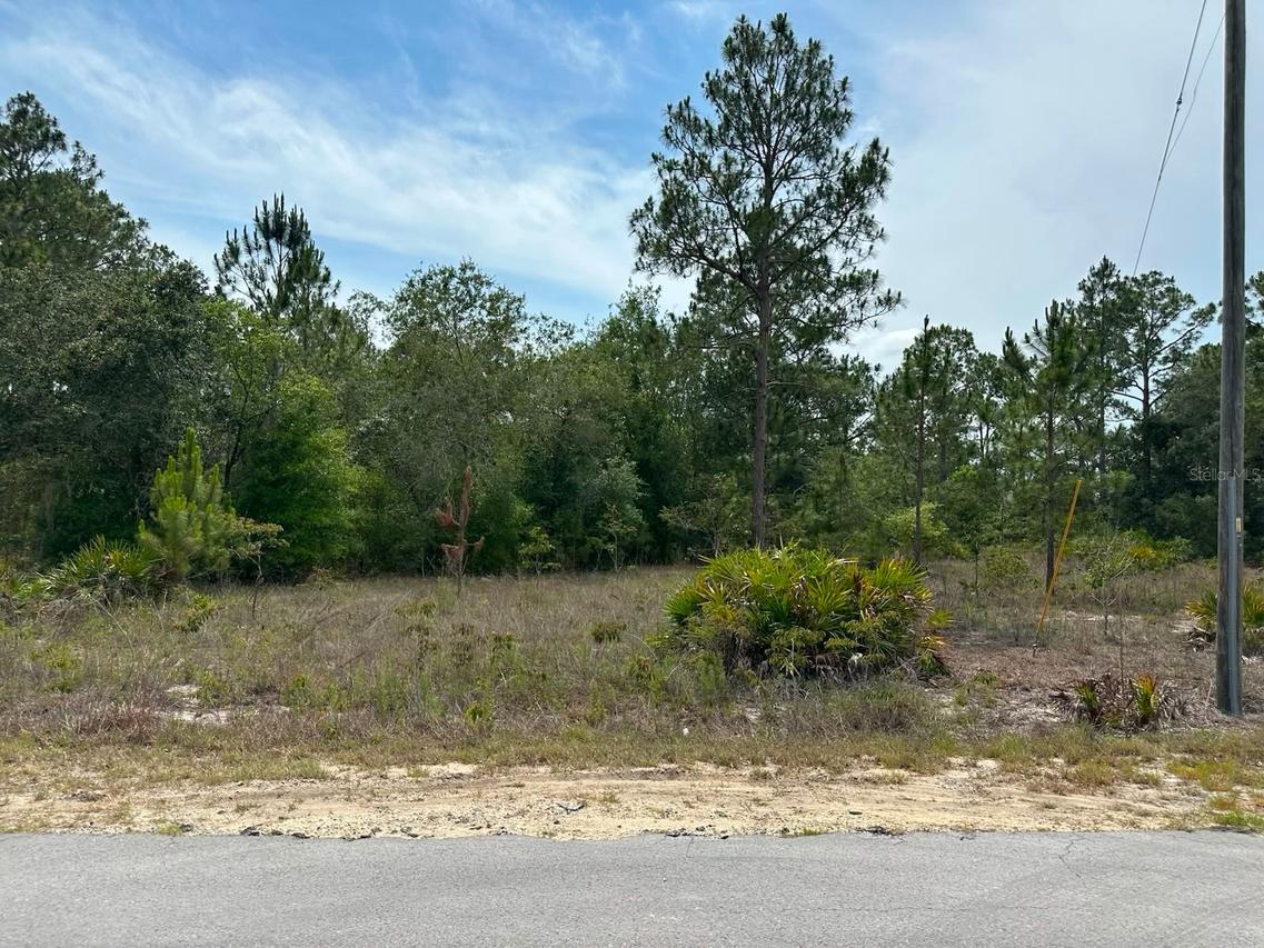 00 SW 00 South Haven Ct., Dunnellon, FL 34431