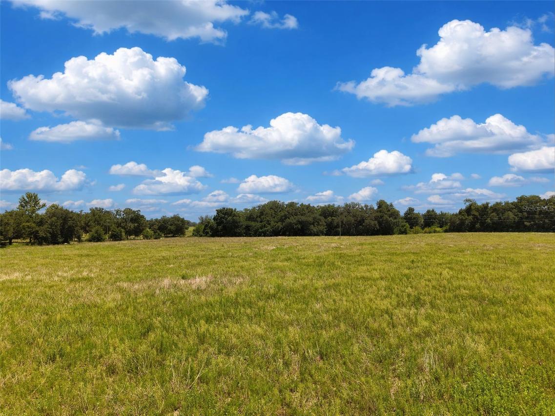 000 SE 200 Ave., Morriston, FL 32668