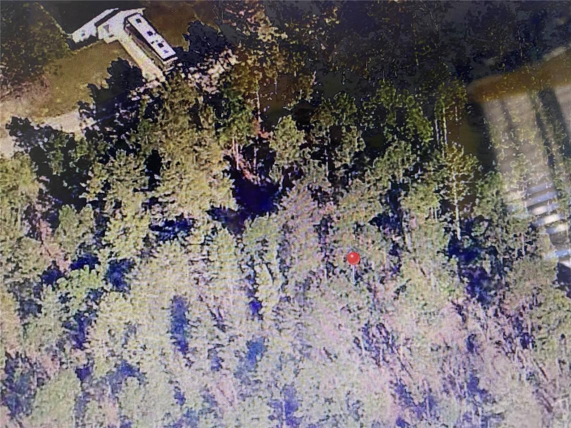 SW 00 Sw 60th Ln Rd, Ocala, FL 34481