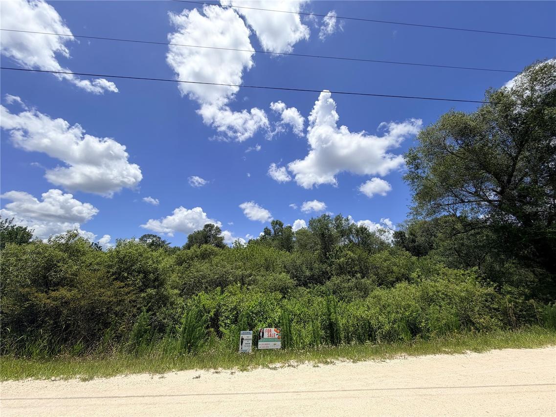 LOT 10 Hardstone Dr., Webster, FL 33597