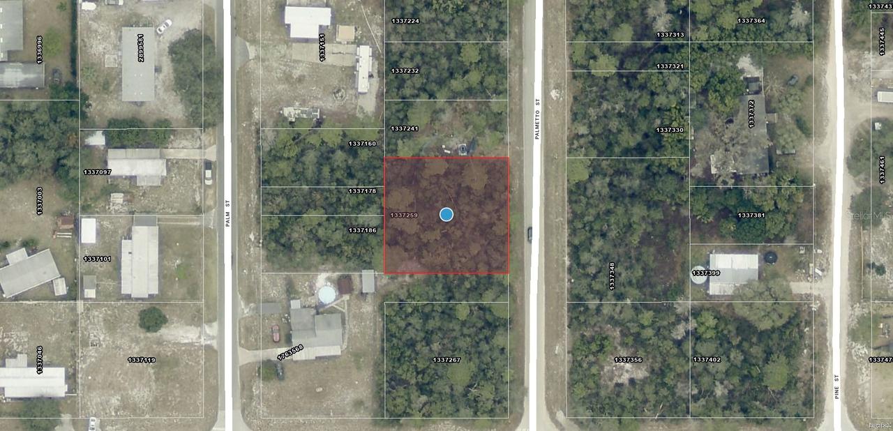 TBD Palmetto St., Paisley, FL 32767