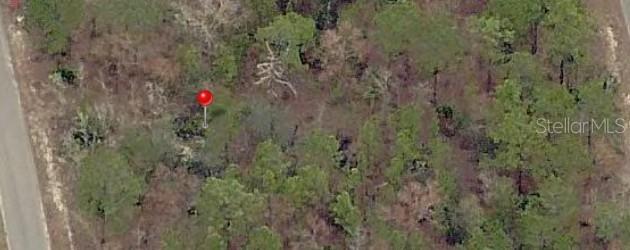 23 Fisher Lane Ter., Ocklawaha, FL 32179
