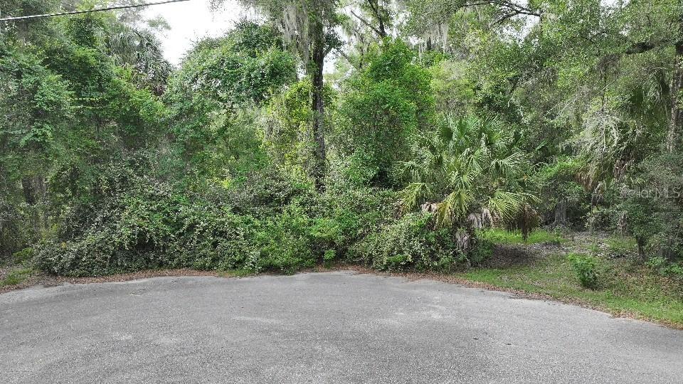 18731 SW 79th Pl., Dunnellon, FL 34432