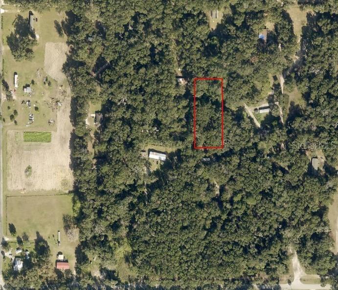 3069 NW 151st Pl., Reddick, FL 32686