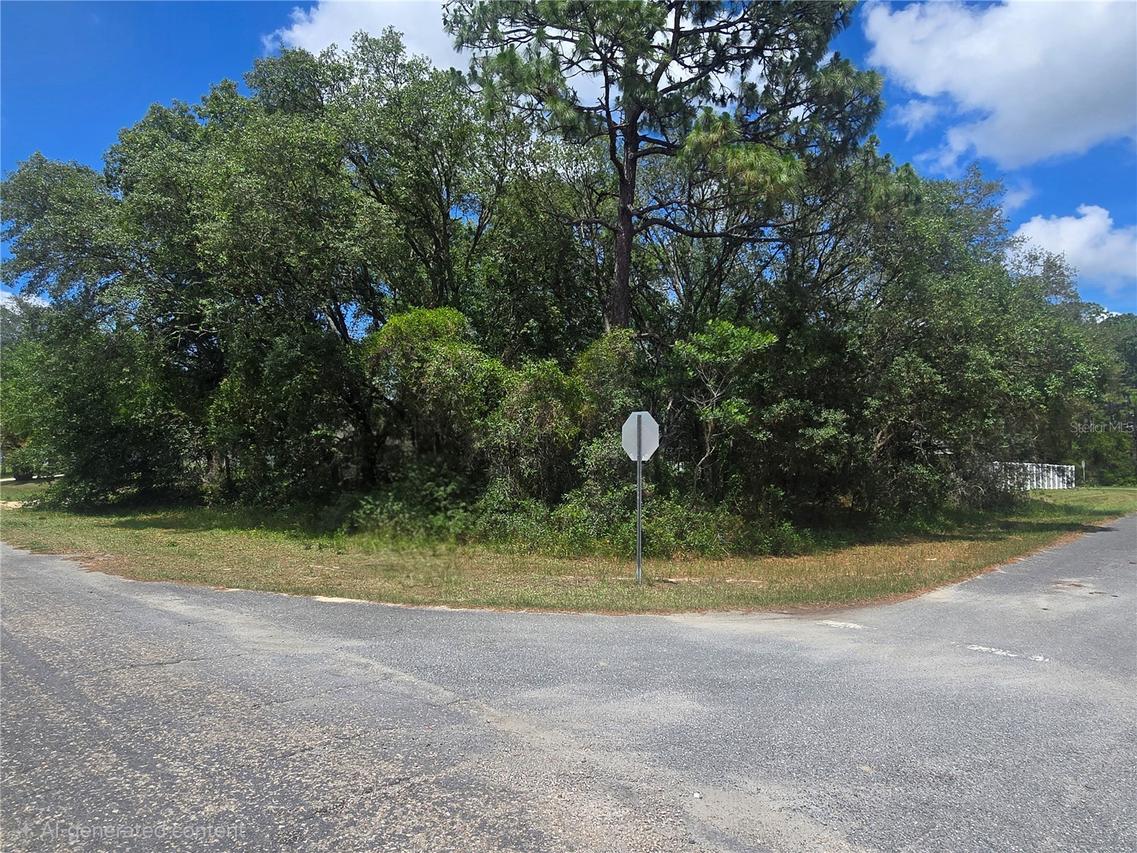 8467 N Empire Ave., Citrus Springs, FL 34433