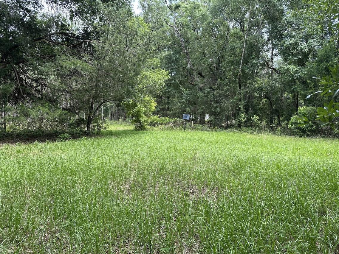 367 SW Kinard Ct., Fort White, FL 32038
