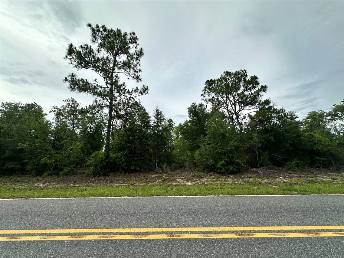 9191 NE 80th St., Bronson, FL 32621