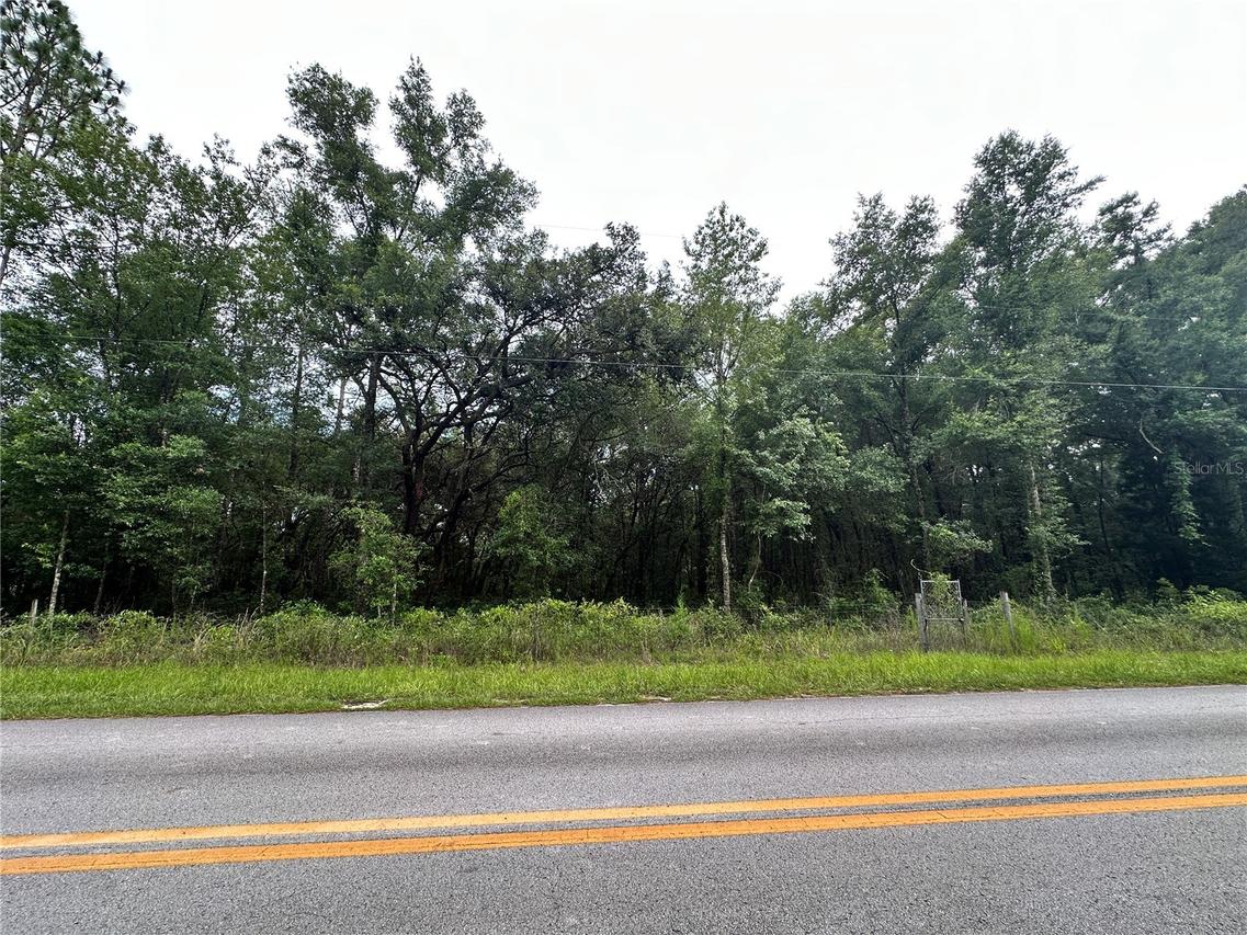 TBD NE 65th Ln., Bronson, FL 32621