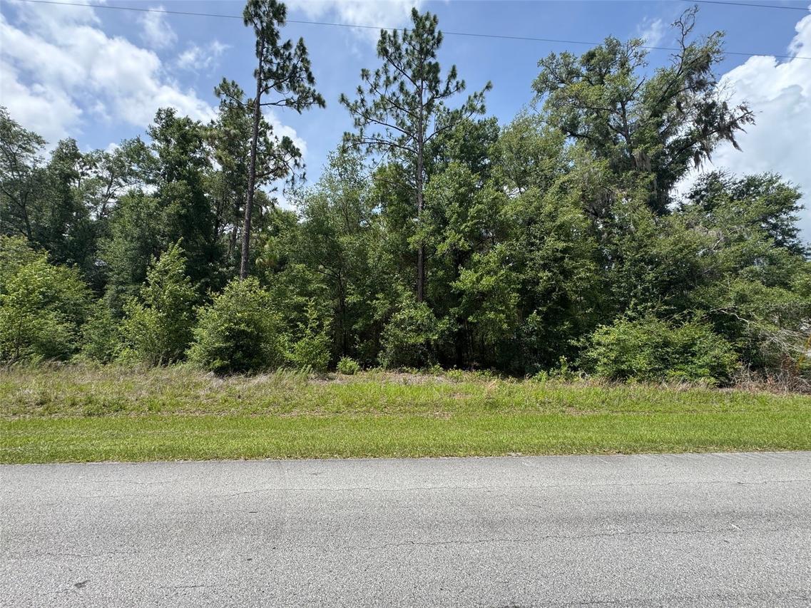 TBD SW 59th Ln., Dunnellon, FL 34431