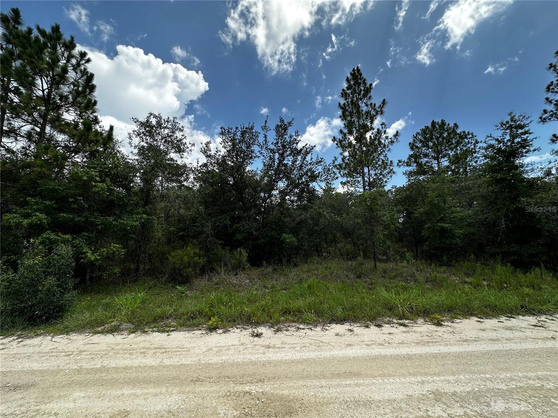 12930 NE 15th St., Williston, FL 32696