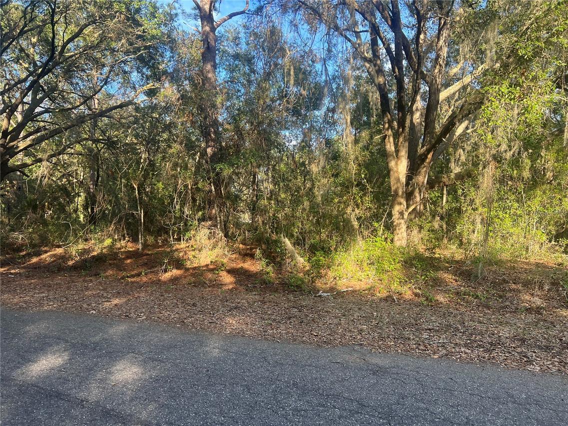 LOT 2 Guava Terrace, Ocklawaha, FL 32179