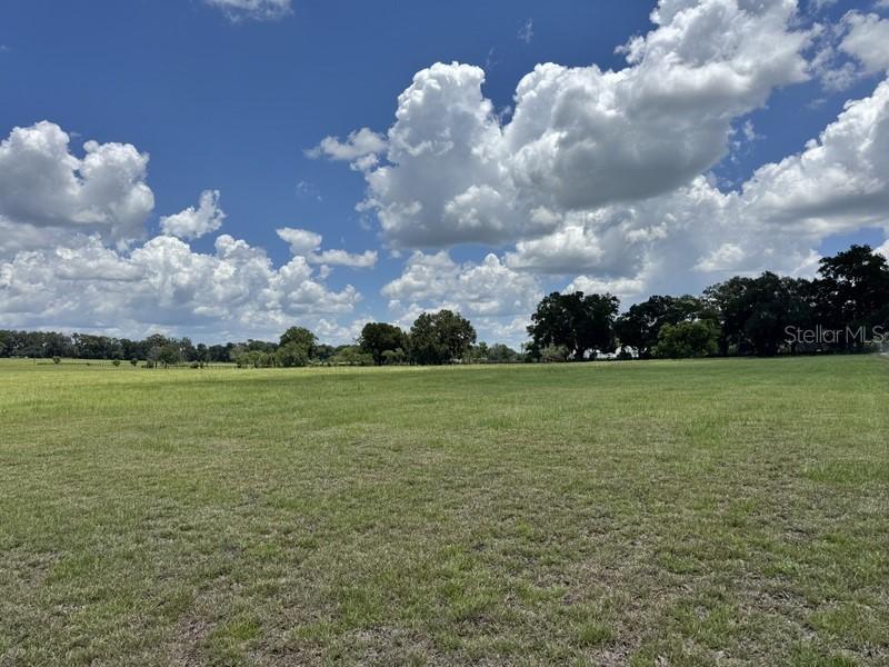 Lot 2 (10ac) NW 131 St., Reddick, FL 32686