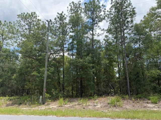 1982 W Roseboro Dr., Dunnellon, FL 34434