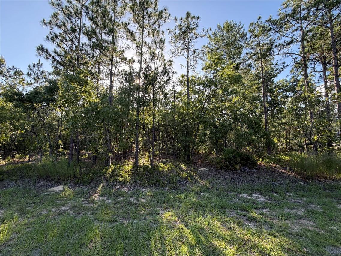 2005 Cr 243e, Wildwood, FL 34785