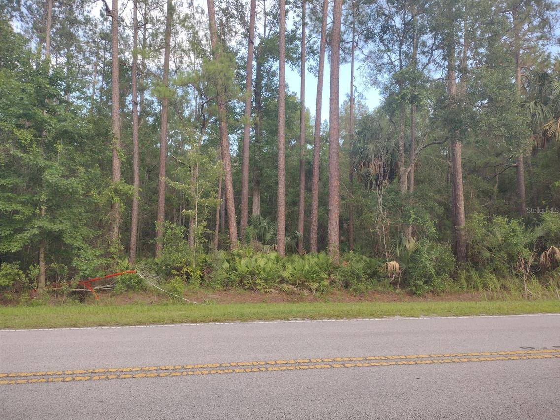 NE Hwy 314 Hwy., Silver Springs, FL 34488