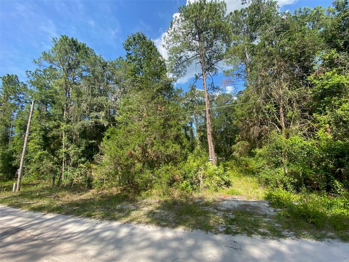 13701 NE 66th Ave., Citra, FL 32113