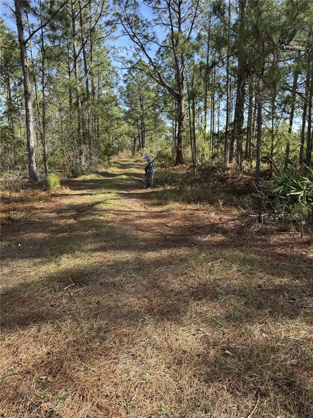 Tbd, Frostproof, FL 33843