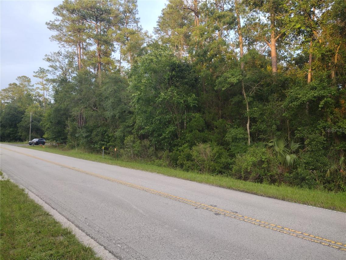 NE Hwy 314 Hwy., Silver Springs, FL 34488