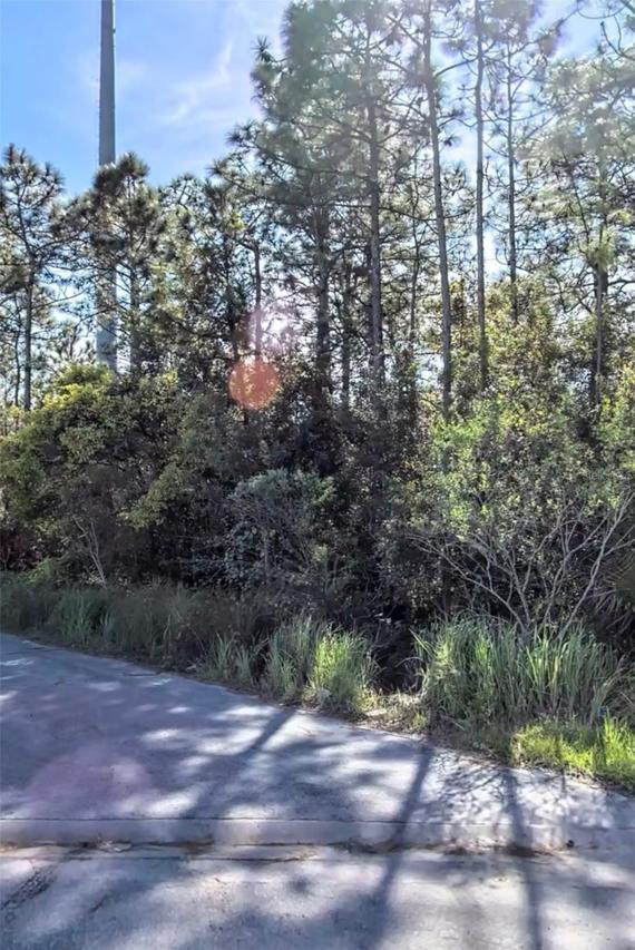 TBD International Dr., Orlando, FL 32821