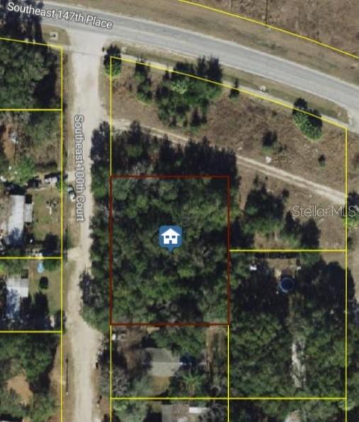 TBD SE 100 Ct., Summerfield, FL 34491