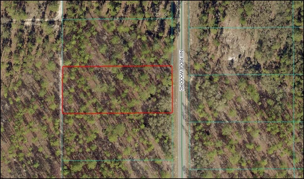 Lot 10 NW Ridgewood Rd., Dunnellon, FL 34431