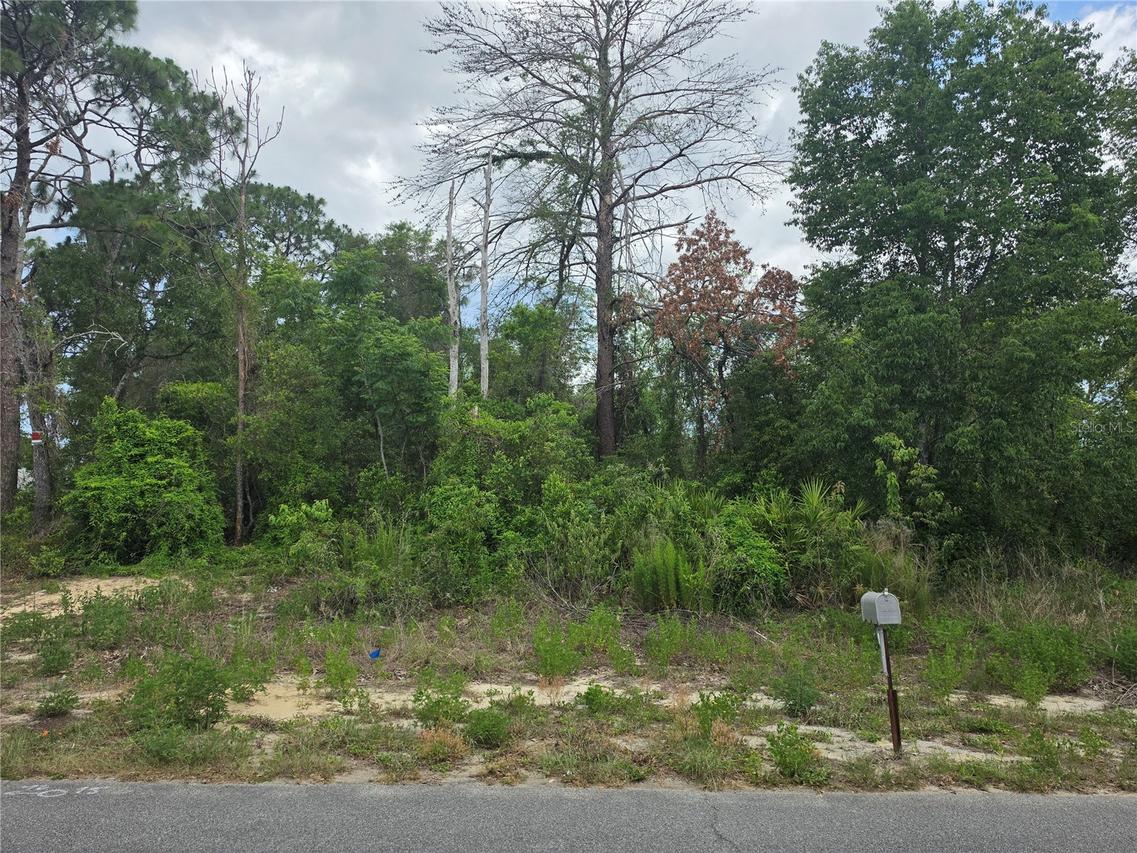 3475 El Prado Ave., Spring Hill, FL 34609