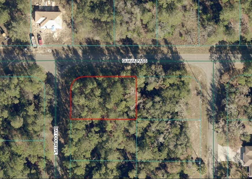 00 Guava Pass, Ocklawaha, FL 32179