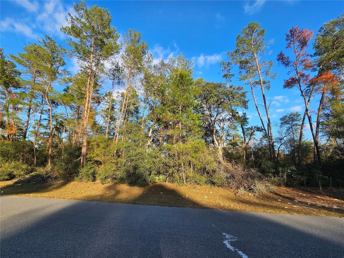 SW 33rd Ter., Ocala, FL 34473
