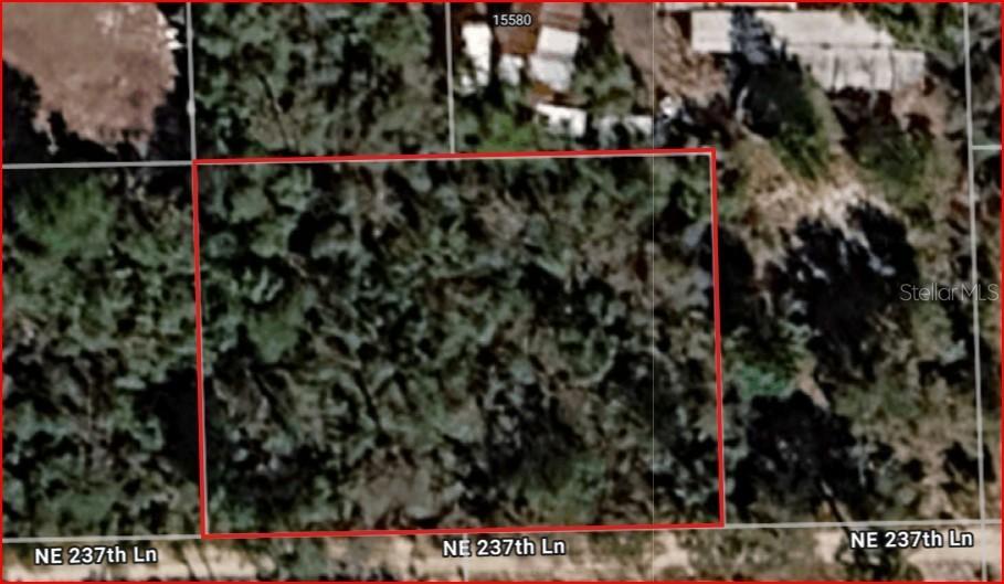 Lot 5 & 6 NE 237th Ln., Fort Mc Coy, FL 32134