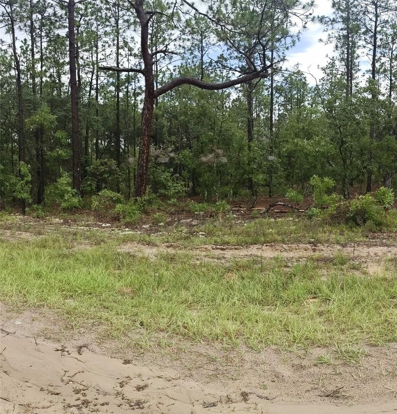 00 SW 69 Pl., Ocala, FL 34481